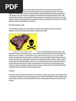 Download bahan pmm by Cinta Mamapapa SN70526247 doc pdf