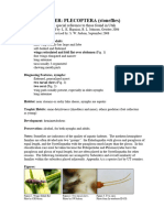 05 Plecoptera Revised 2008 PDF