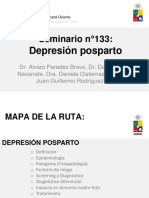 Seminario 133 - Depresion Post Parto - Archivo