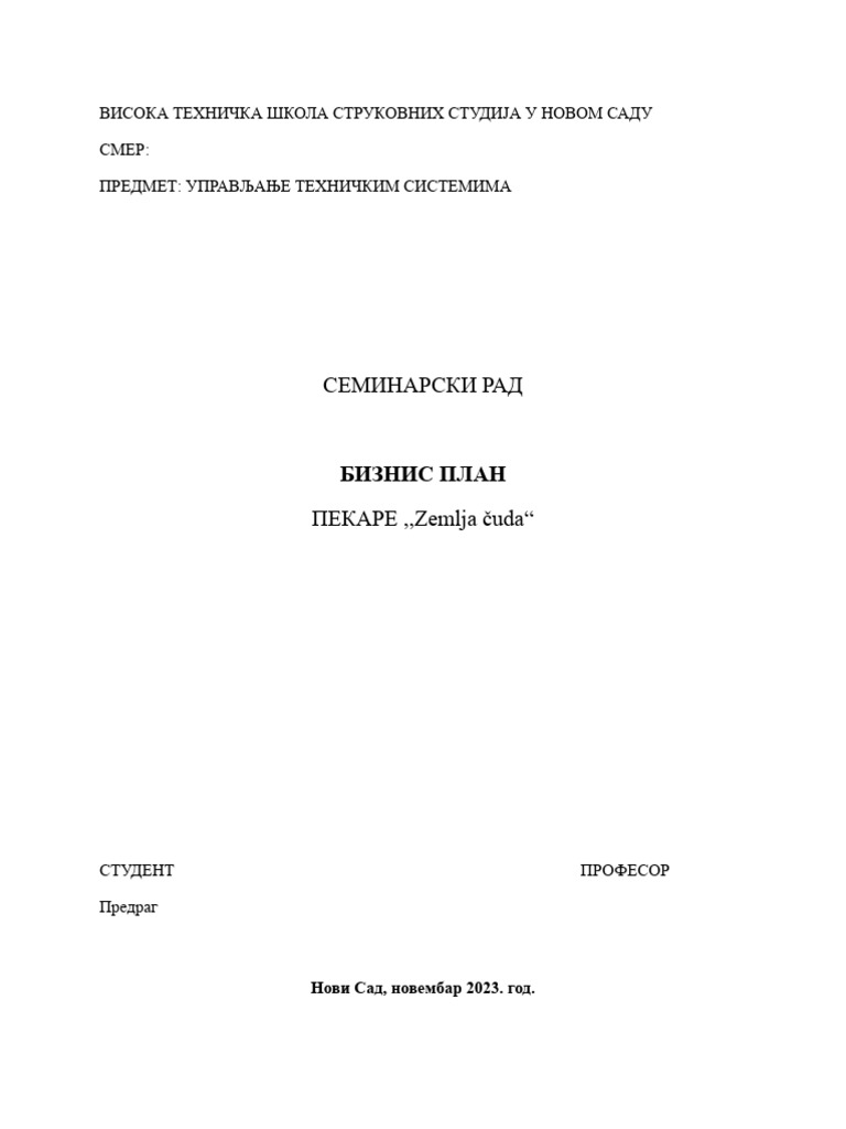 Biznis Plan | PDF