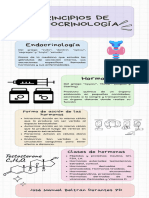 Infografia Capitulo 2 JMBD