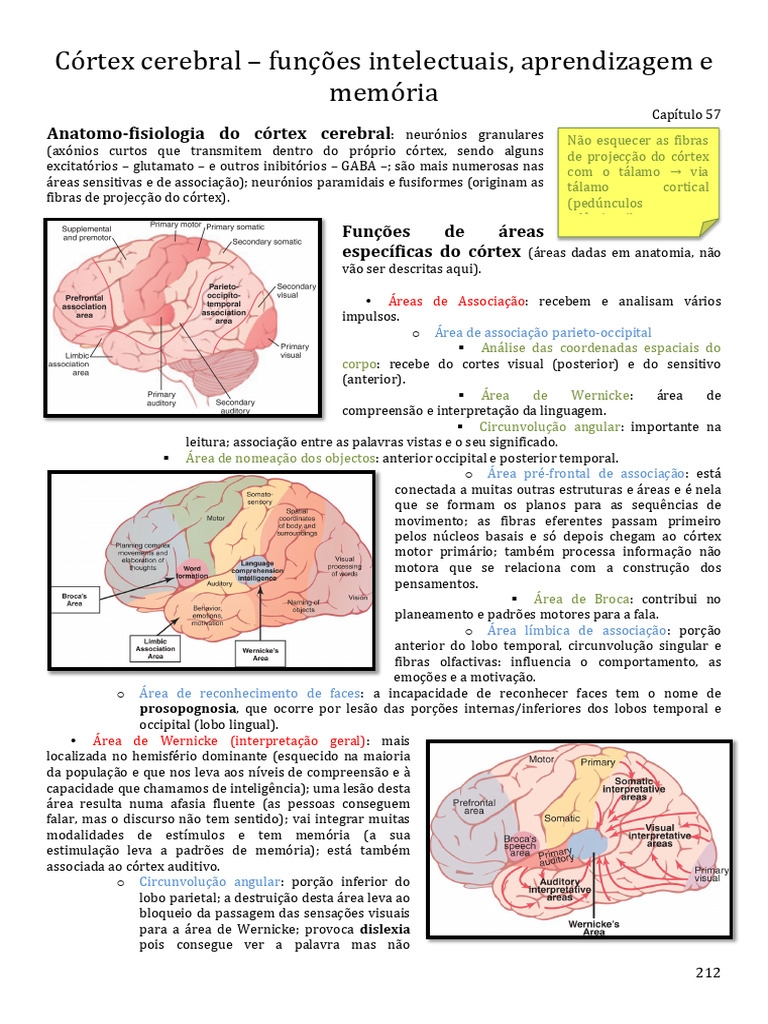 CapÃ Tulo 57 | PDF | Córtex cerebral | Memória