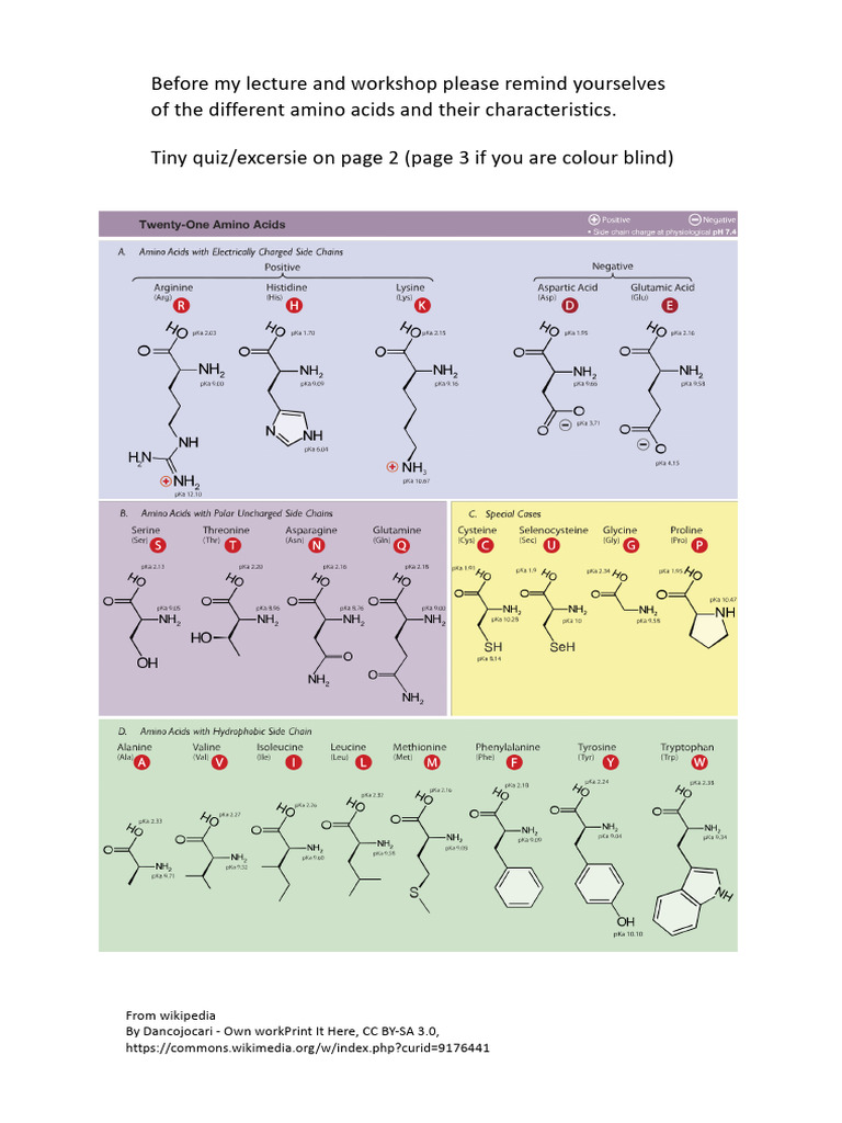 Aminoacids Homework | PDF