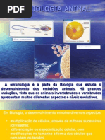Embriologia Animal