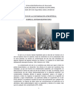 Efectos Contaminación Atmosferica Sobre Sistema Respiratorio