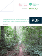 Interpretación de La Dinámica de La Deforestación SERFOR 2015