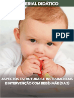 Aspectos Estruturais e Instrumentais e Intervenção Com Bebe Mae 0 A 3 Anos