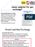 Alveolar Gas Exchange