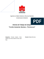 Informe Final Terreno Contaminación Ambiental