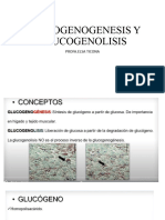 GLUCOGENOGENESIS HH