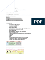 Dermatosis Bacterias