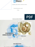 Accede A Apuntes, Guías, Libros y Más de Tu Carrera: Desarrollo Embrionario y Fetal 45 Pag