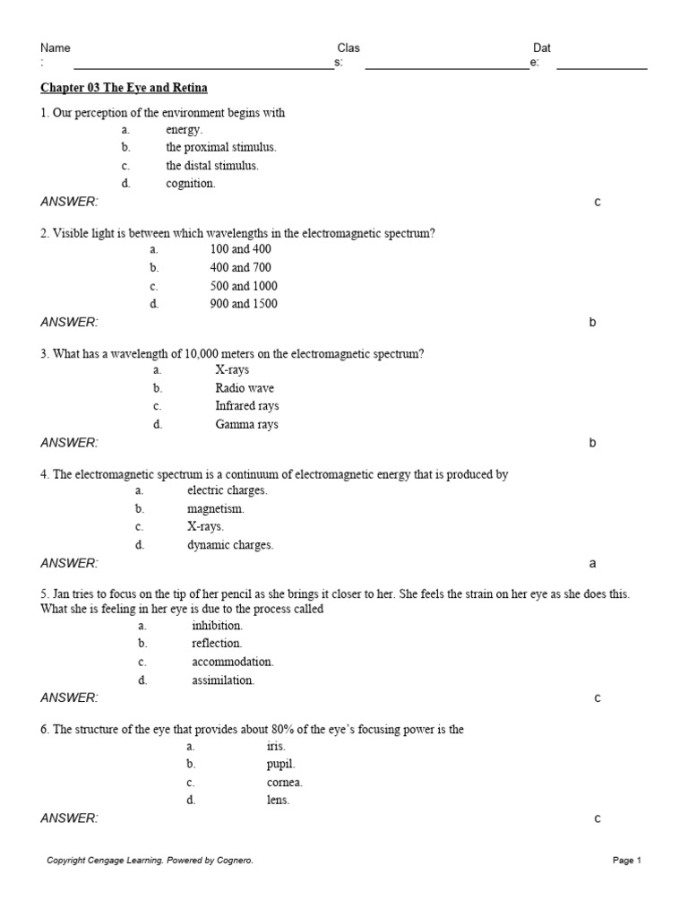 Chapter 03 The Eye and Retina | PDF | Visual Acuity | Retina