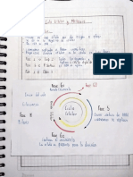 Ciclo Celular y Mitosis - Josue Coque