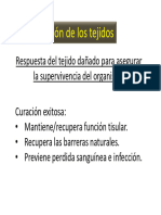 Segundo Corte Patología