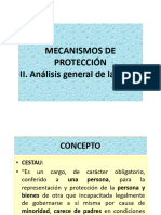 Guía de Clase 7. Mecanismos de Protección. II. La Tutela