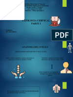 Patologia Cervical