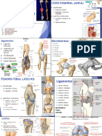 Artrologia e Topografia Do MI MSD Online Conf