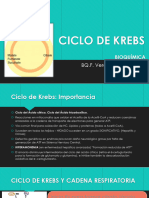 Ciclo de Krebs