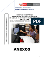 (LP) Jaef Anexos - Directiva - 020-2020-Dreh