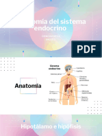 Sistema Endocrino