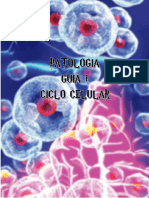 Ciclo Celular Guia 1