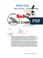 811 Modul Ajar KurMer Sel