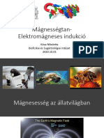 Magnesessegtan