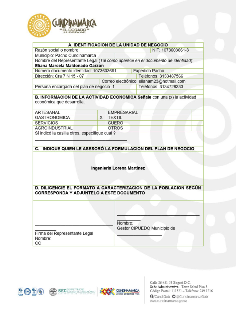 Plan de Negocio para Jugos Saludables | PDF | Análisis FODA | Producto ...