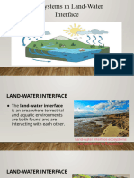 Ecosystems in Land-Water Interface