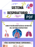 Sistema Respiratorio Embrio