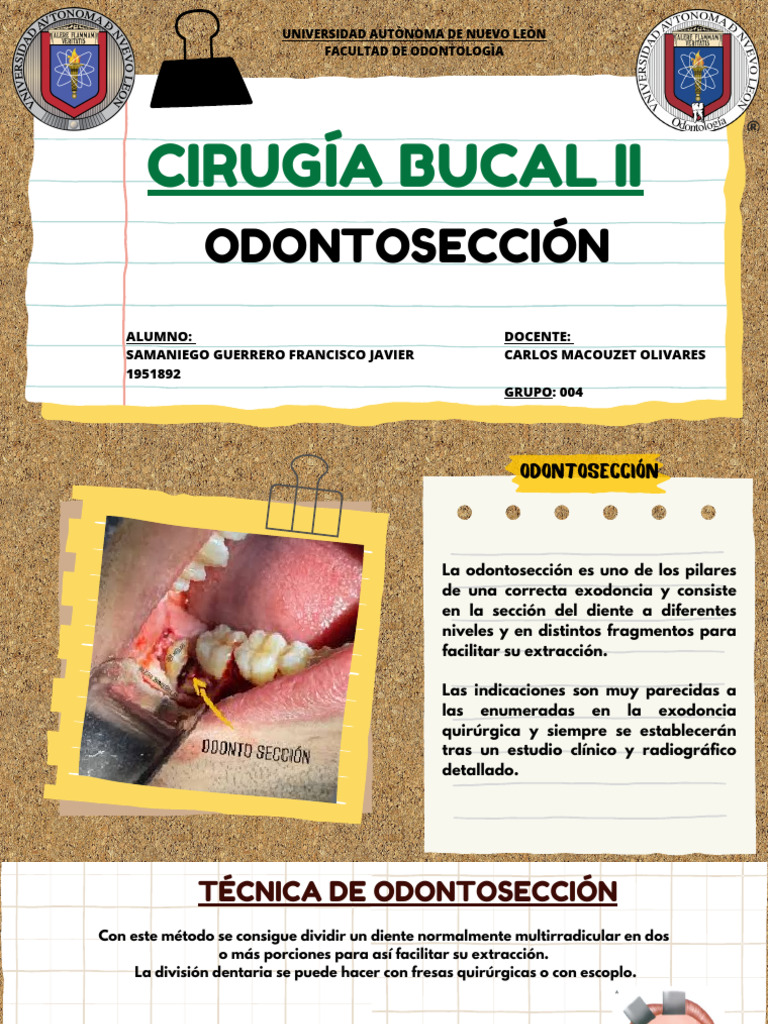 ODONTOSECCIÓN PDF Medicina CLINICA Ciencias de la Salud