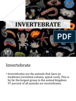 12 Invertebrate