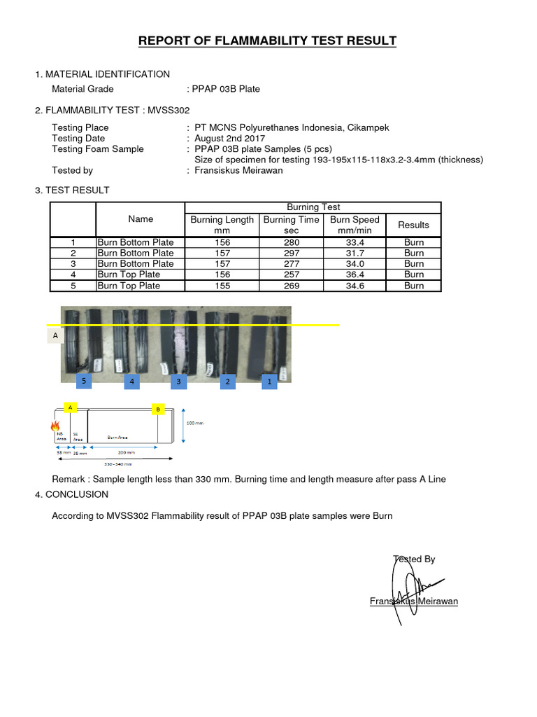 Flammability Test Results for PPAP 03B | PDF