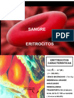 Eritrocitos