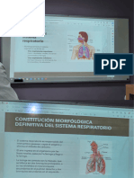 Embrio Respiratorio PPT