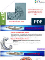 Angiografi Renal - Sigit K