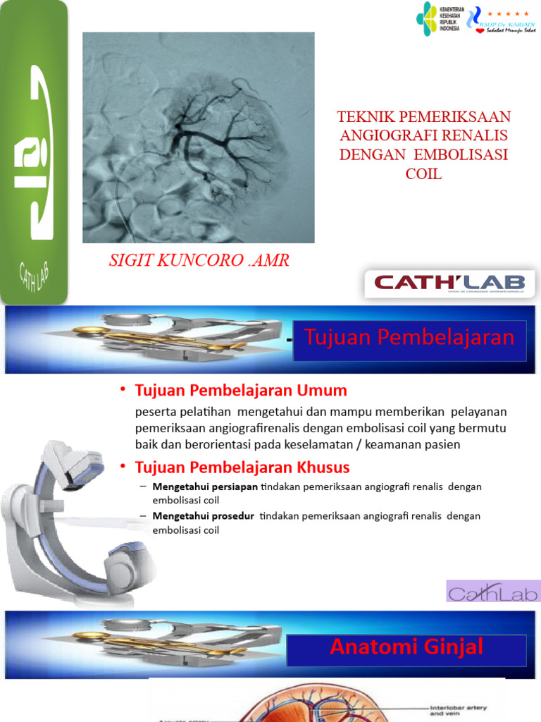 Angiografi Renalis dengan Embolisasi Coil | PDF