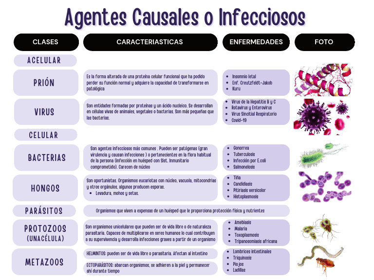 Tipos de Agentes Causales Infecciosos | PDF | Infección | Patógeno