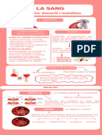 Alba Anguita - Infografía de La Sang - Biomedicia