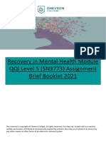 Recovery in Mental Health Assignment Brief V2