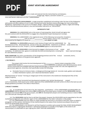 Joint Venture BLANK