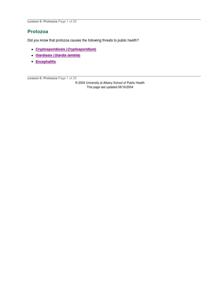 Lesson 6 | Protozoa | Organisms