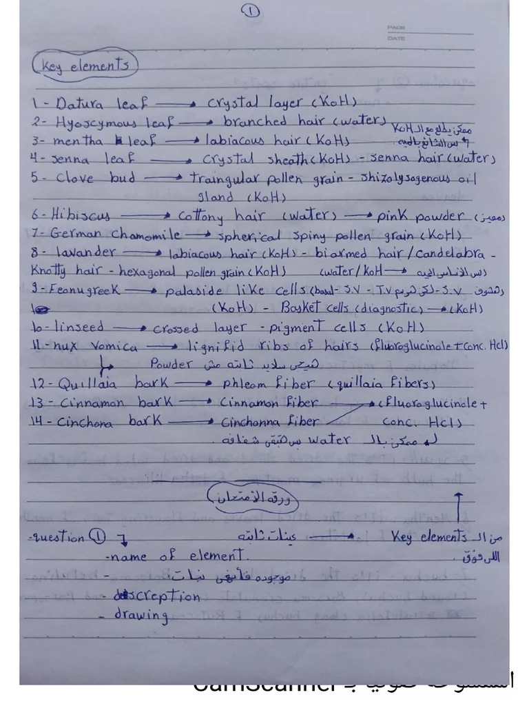 شكل ورقه الامتحان Key Element Origin الunknown | PDF