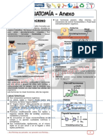 8 - Sistema Endocrino