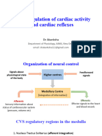 Lecture 8 - Neural Regulation of Cardiac Activity and Cardiac Reflexes