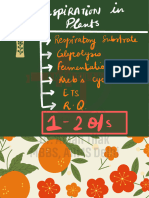 .Respiration in Plants ?