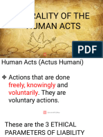 L4 Human-Acts