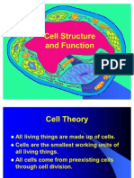 1. Cell Structure and Function