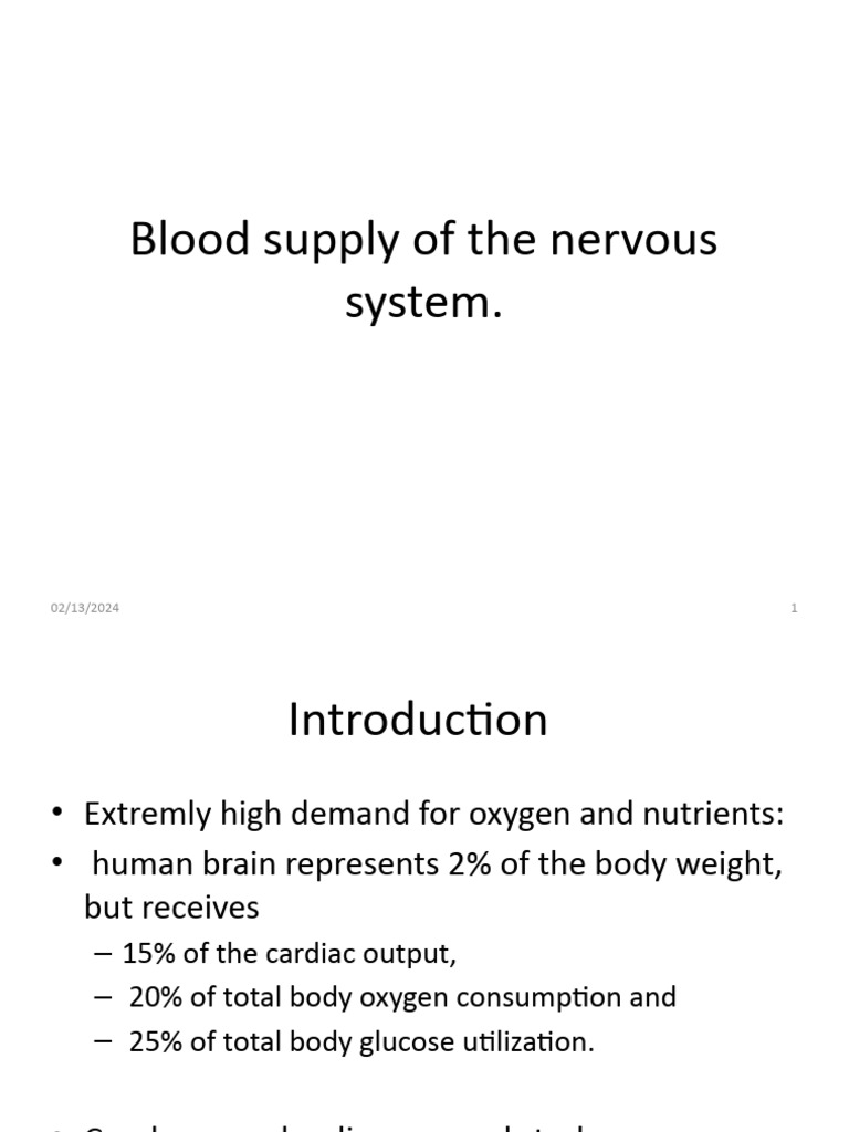 Blood Supply of The Nervous System 12 | PDF | Vein | Cerebral Cortex